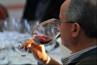 São mais de 250 uvas nativas, com destaque para este país que é considerado mestre em elaborar "blends"