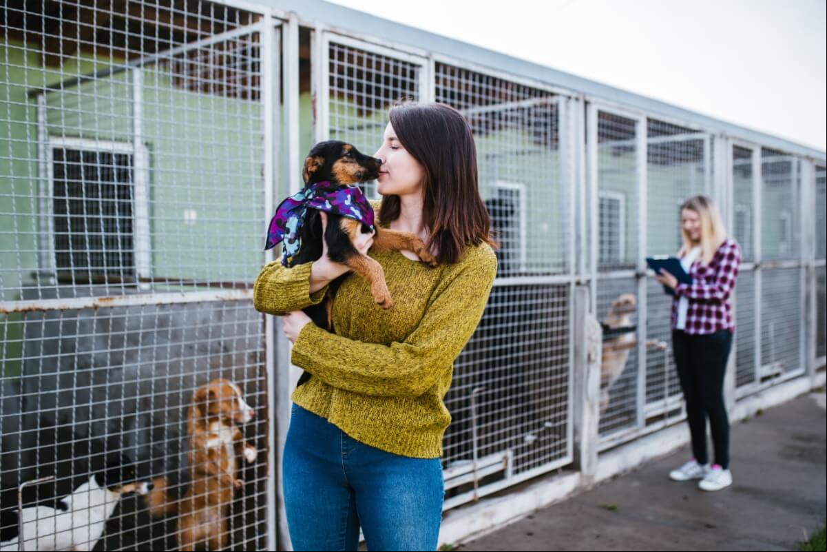 A adoção responsável pode transformar a sua vida e a do animal