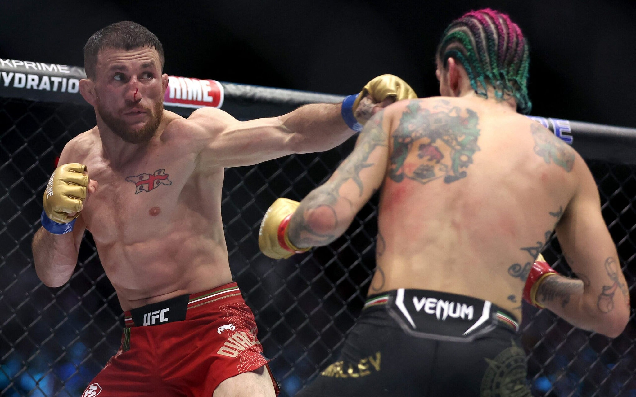 Merab Dvalishvili e Sean O'Malley em ação no UFC (Foto: Reprodução)