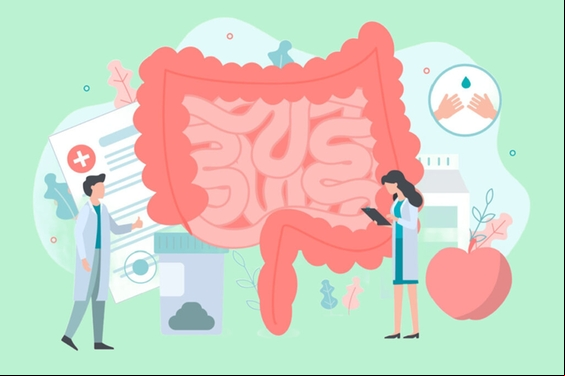 Ilustração de médicos analisando um intestino